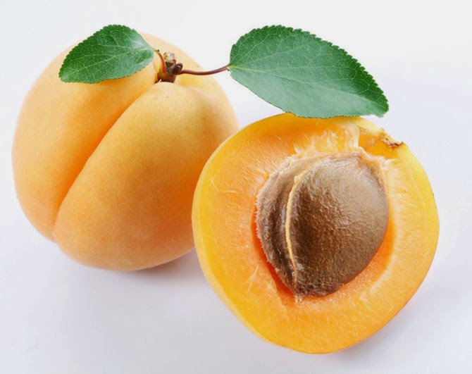 абрикосы - фрукты, кухня, абрикосы - оригинал