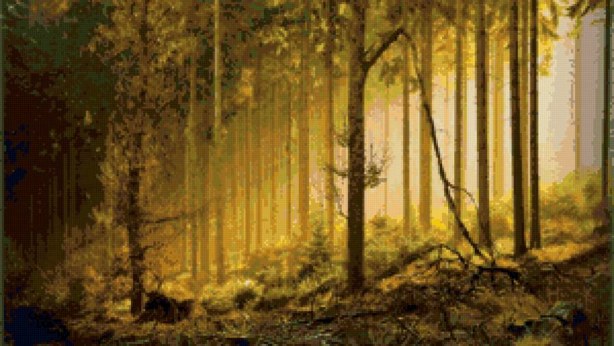 в лесу - деревья, лес, природа - предпросмотр