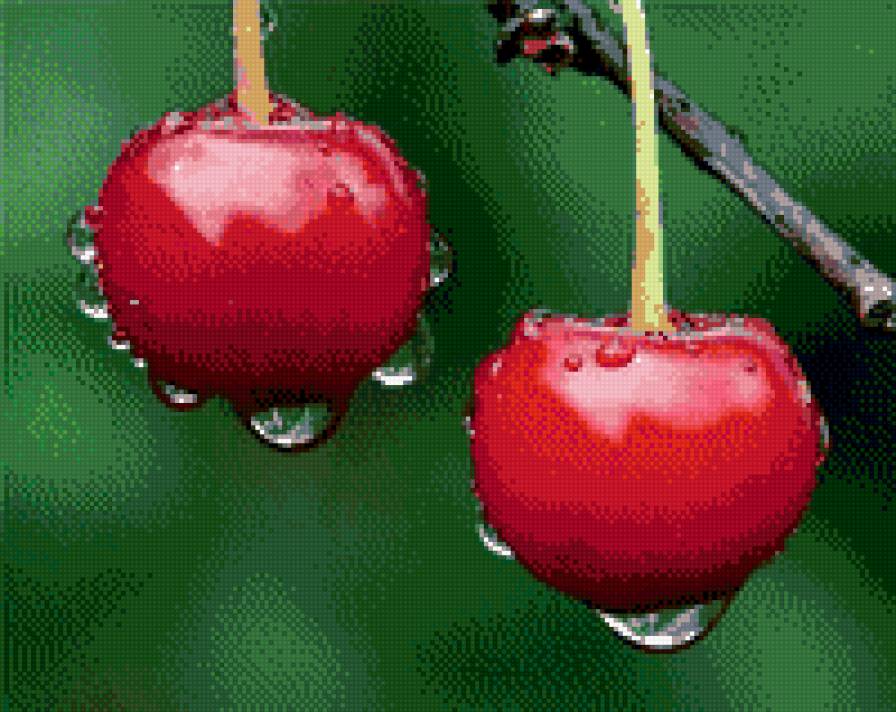 вишня в росе - кухня, ягода, капли, роса, вишня - предпросмотр