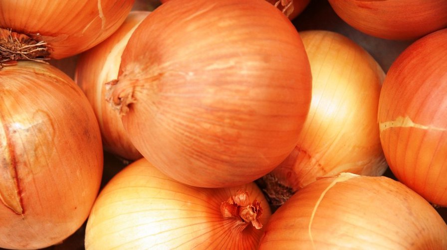 лук - кухня, лук, цебуля - оригинал