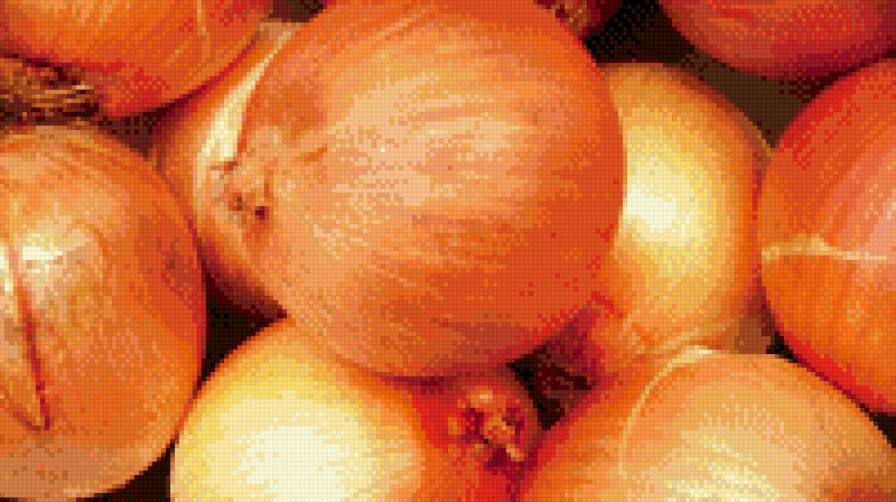 лук - лук, кухня, цебуля - предпросмотр