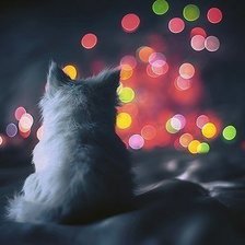 Схема вышивки «1»