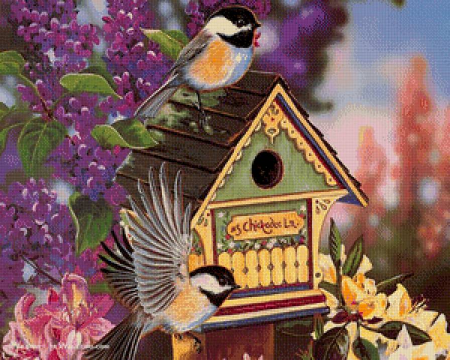 птичка - предпросмотр