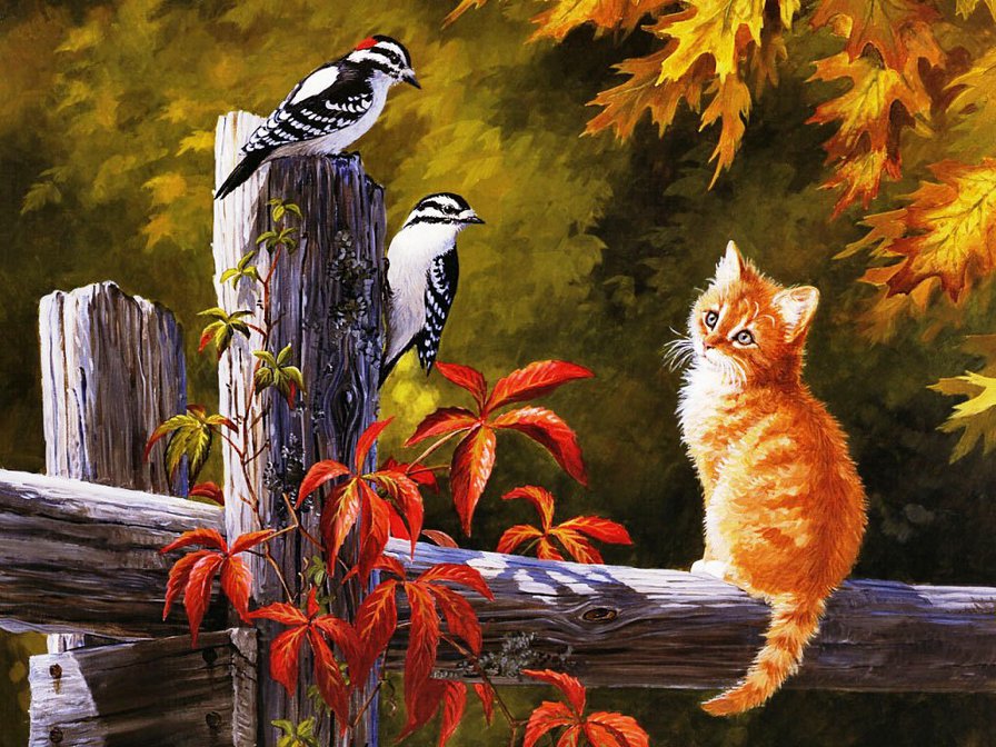 котенок и птицы - кошки, картина, листья, пано, птицы, природа, животные - оригинал