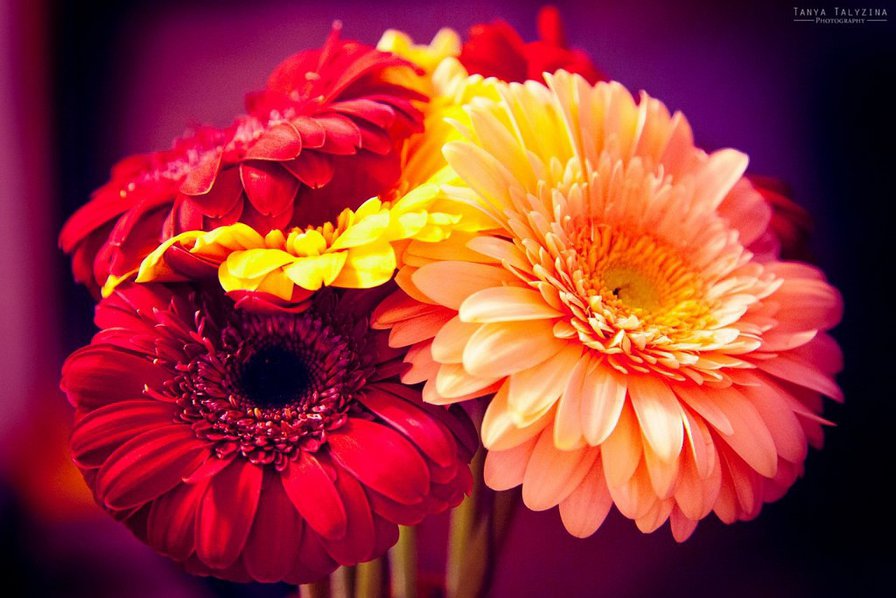 №653316 - оригинал