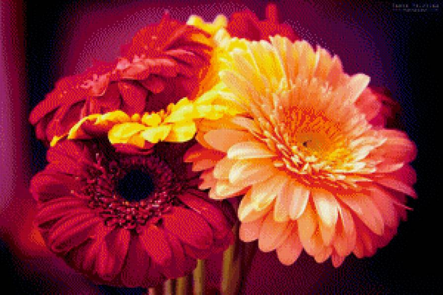 №653316 - предпросмотр