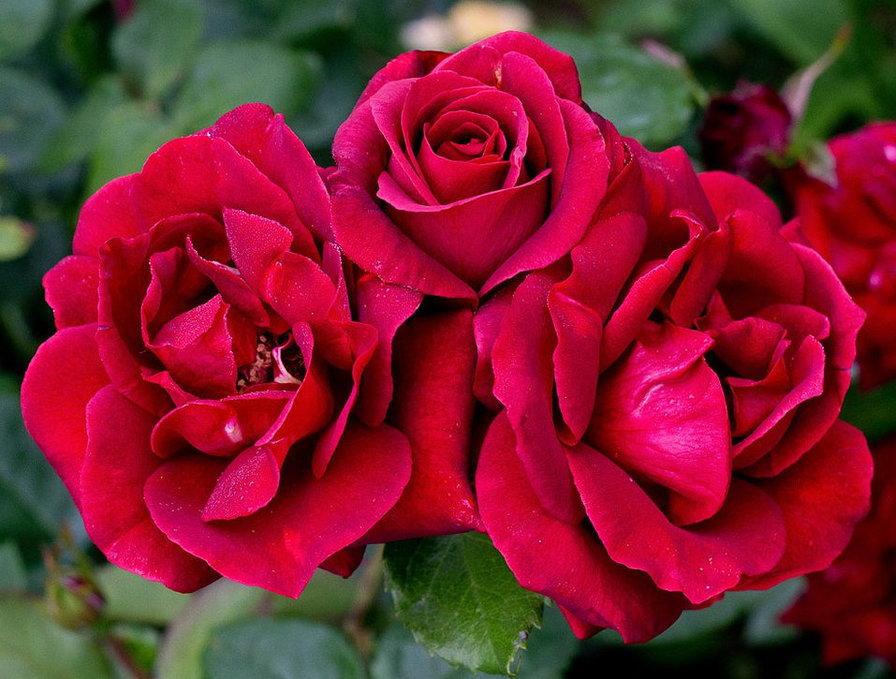 №653332 - оригинал