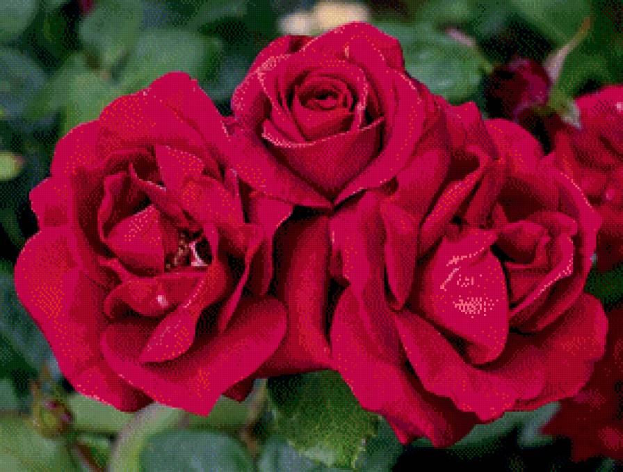 №653332 - предпросмотр