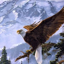 Схема вышивки «Орёл в снежных горах»