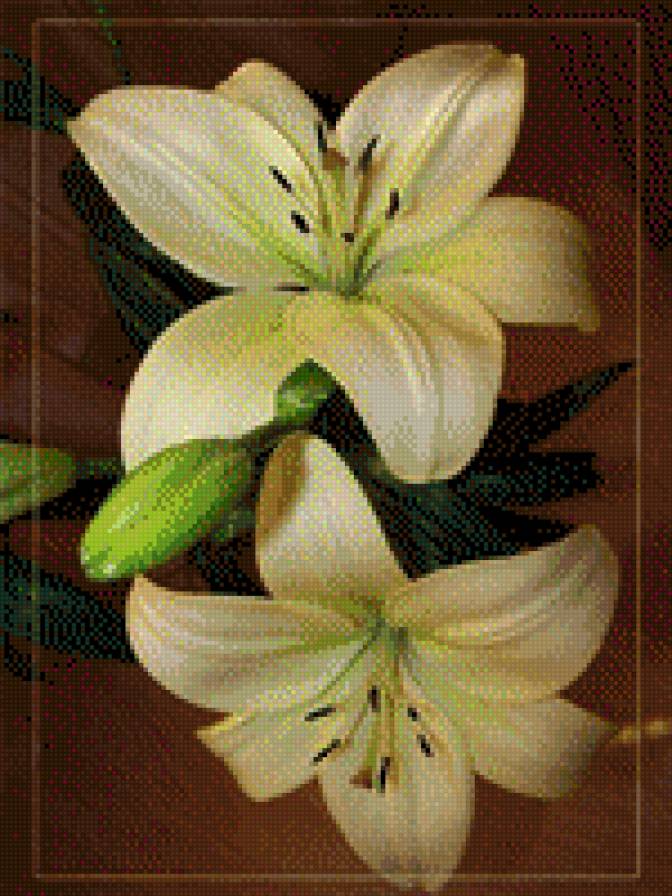 ЛІЛІЇ - квіти - предпросмотр