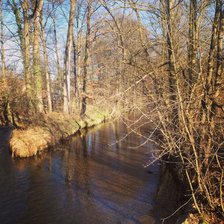 Схема вышивки «Весна 220х»