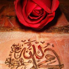 Схема вышивки «trandafir Allah»