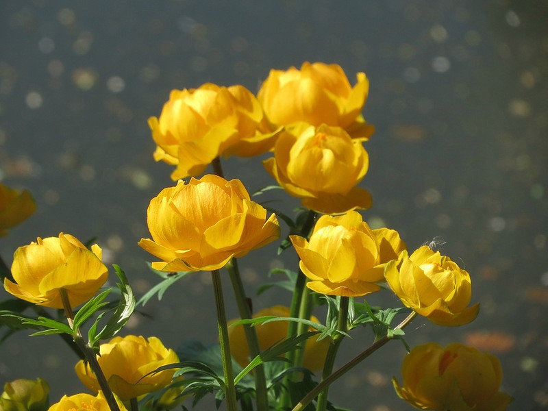 №653469 - оригинал