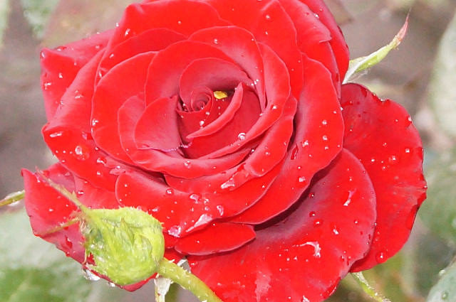 №653470 - оригинал