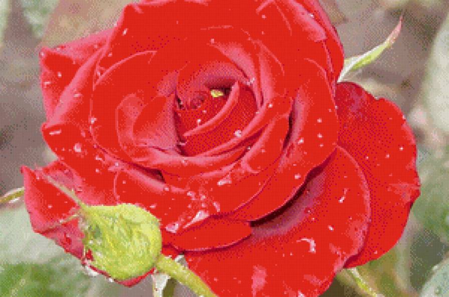 №653470 - предпросмотр