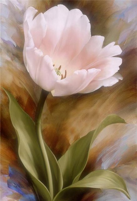 тюльпан - оригинал