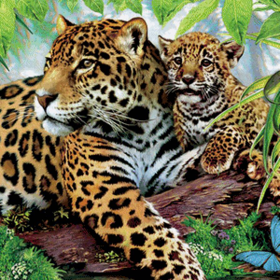 милая семейка - животные - предпросмотр