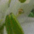 Предпросмотр схемы вышивки «ЛІЛІЇ» (№653724)