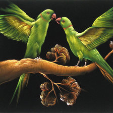 Схема вышивки «Попугаи-2»