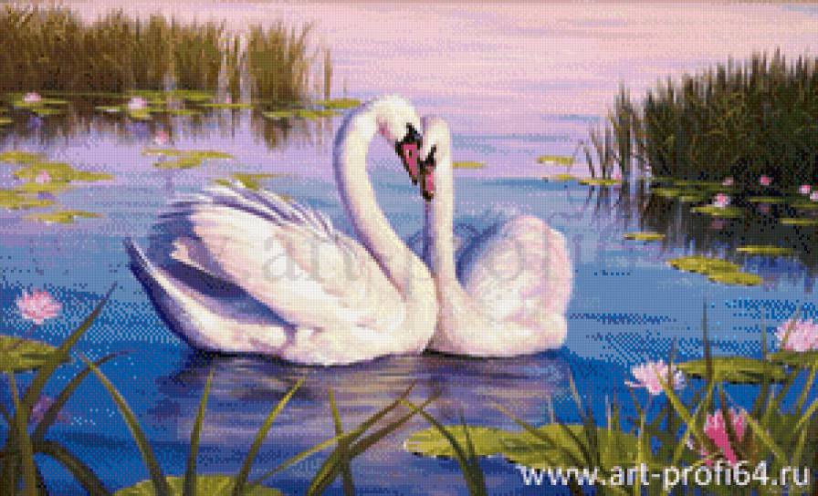 2054 - предпросмотр