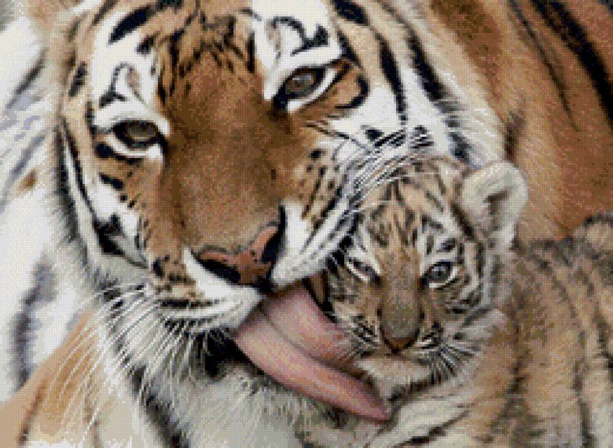 Мама тигр рядом - животные, тигр, тигренок - предпросмотр