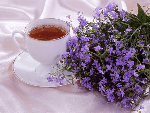 Утренний чай - натюрморт, чай, цветы - оригинал