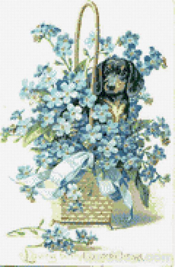 cобачка в букете - предпросмотр