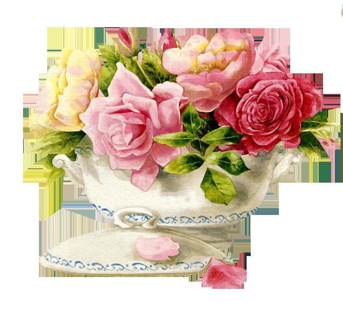 розы - оригинал