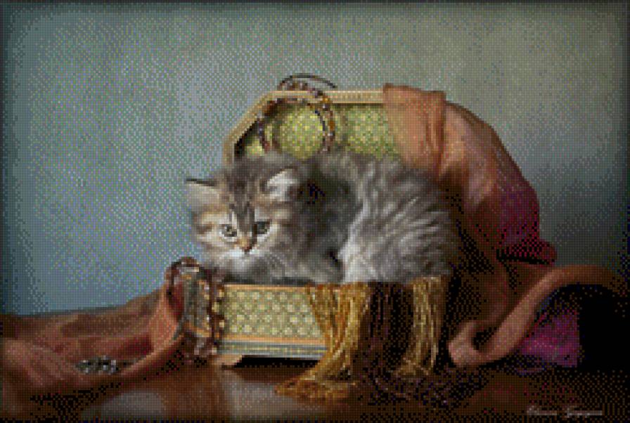 Котенок - котенок - предпросмотр