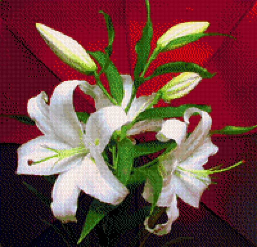 ЛІЛІЇ - квіти - предпросмотр