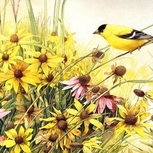 Схема вышивки «птичка»