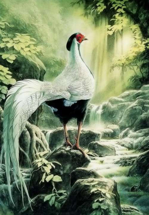 №654154 - оригинал