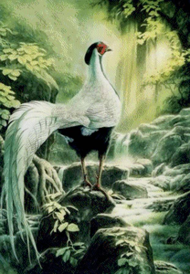 №654154 - предпросмотр