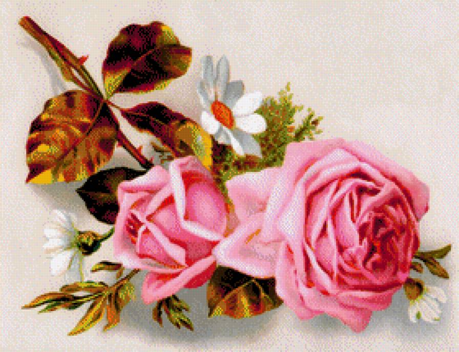 розы - цветы - предпросмотр