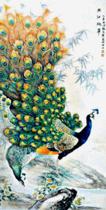 павлины - птицы - предпросмотр