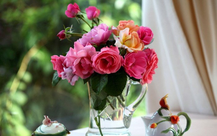 Розы - цветы - оригинал