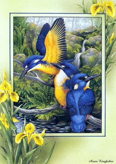 птицы - оригинал