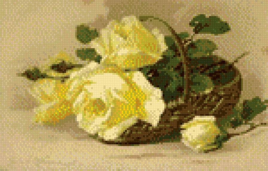 желтые розы - предпросмотр