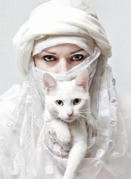 Кот и девушка - животные, девушка, кот - оригинал