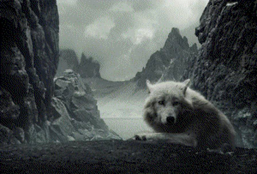 Волк - волк - предпросмотр