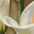 Предпросмотр схемы вышивки «Каллы» (№654729)