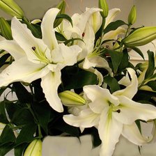 Схема вышивки «ЛІЛІЇ»