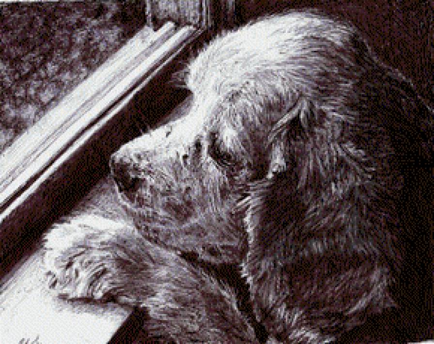 Жду - собака, жду, у окна - предпросмотр