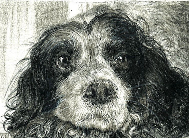 Охраняю твои сны - собака, монохром - оригинал