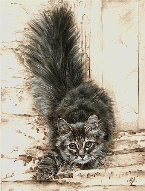 Котенок - котенок, пушистый - оригинал