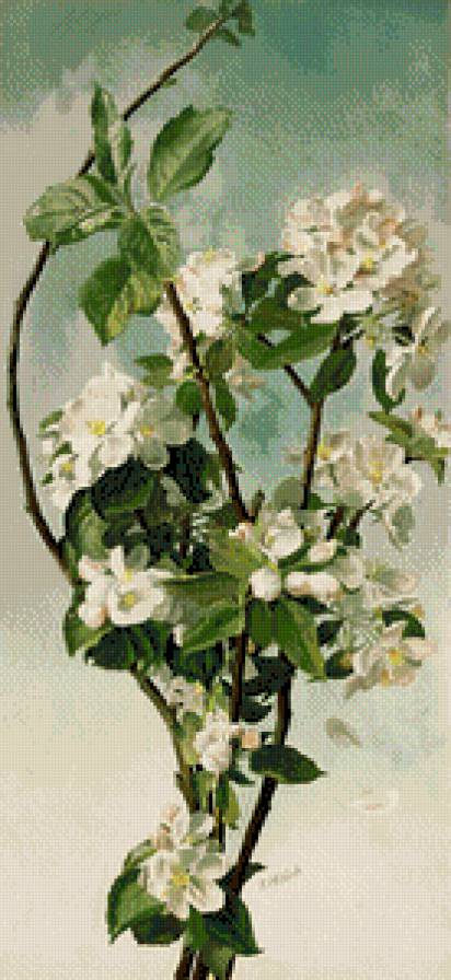 цветущая яблоня - цветы - предпросмотр