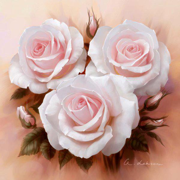 розы - цветы - оригинал