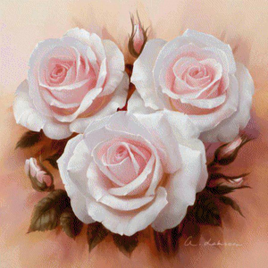 розы - цветы - предпросмотр