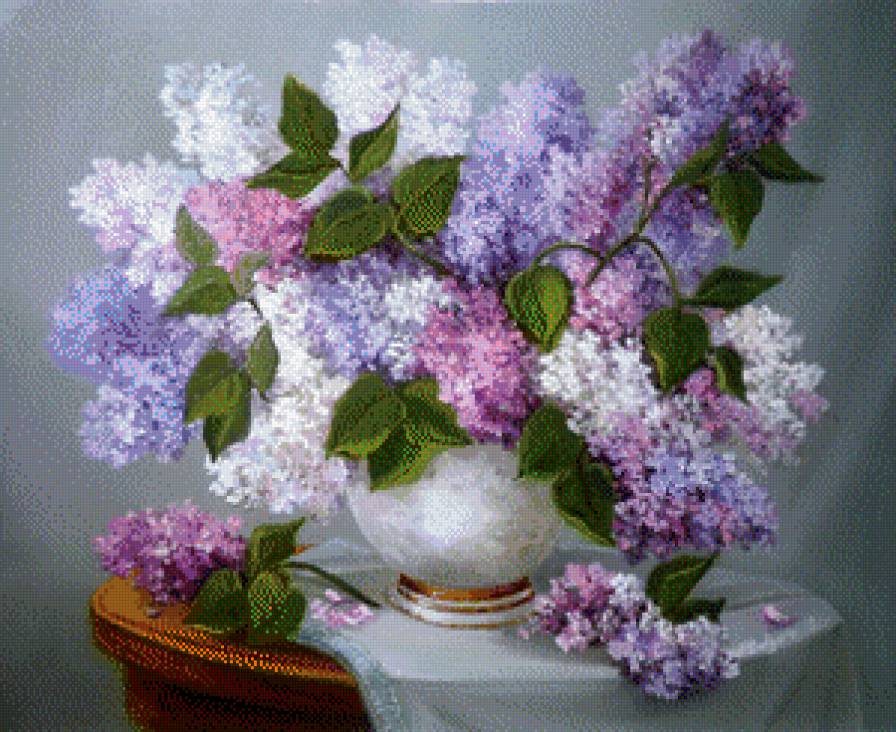 Сирень - предпросмотр