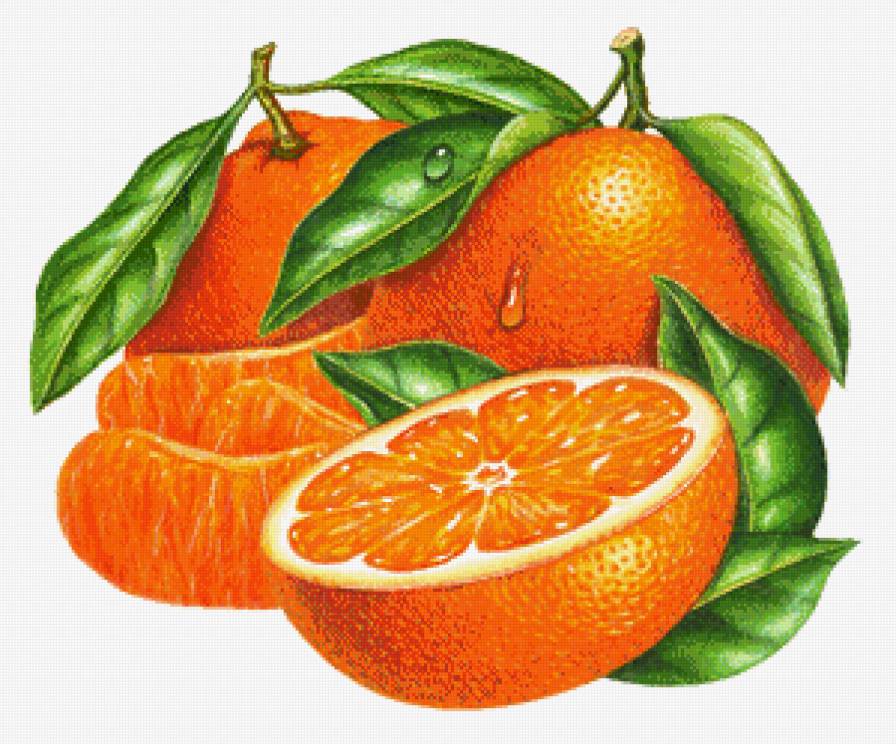 №655067 - предпросмотр